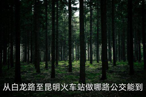 白龍路，昆明市白龍路環城東路交匯處益龍萬象城怎么走