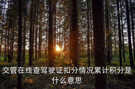 交管在線查駕駛證扣分情況累計積分是什么意思