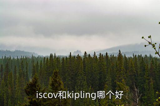 iscov，iscov的包包大家覺得怎么樣