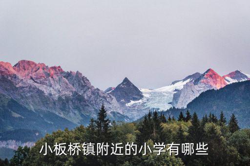 板橋小學(xué)，湖南長沙星沙板橋小學(xué)與泉塘小學(xué)哪所較好