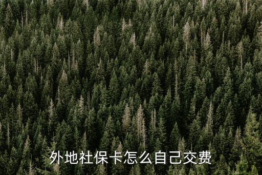 外地社保卡怎么自己交費