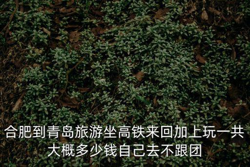 合肥到青島旅游坐高鐵來(lái)回加上玩一共大概多少錢(qián)自己去不跟團(tuán)