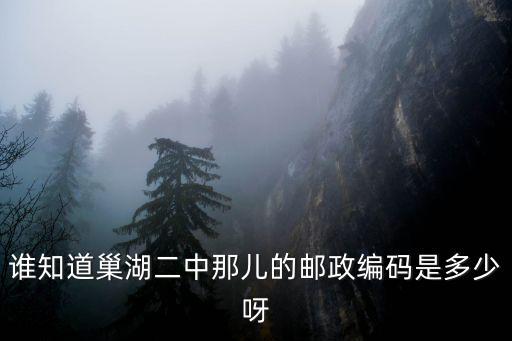 誰知道巢湖二中那兒的郵政編碼是多少呀