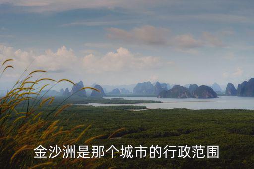 金沙洲是那個城市的行政范圍