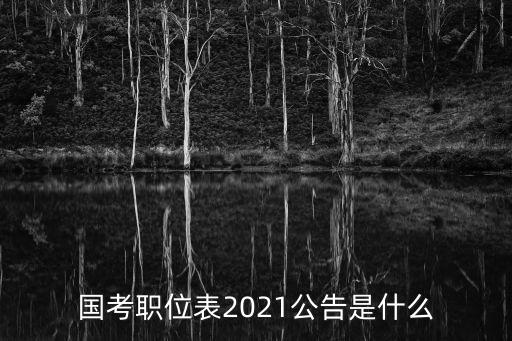 國考職位表2021公告是什么