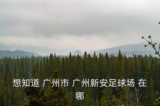 廣州足球場，廣州哪里有免費足球場啊