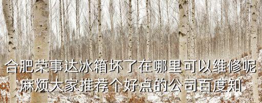 合肥家電維修，合肥市濱湖新區哪里有小家電維修