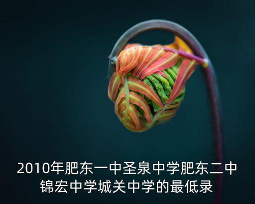 肥東一中，2010年肥東一中圣泉中學(xué)肥東二中錦宏中學(xué)城關(guān)中學(xué)的最低錄