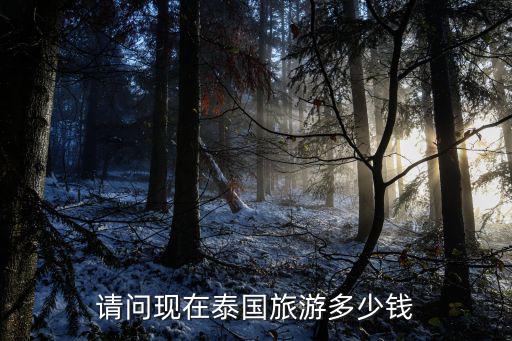 近期泰國(guó)游價(jià)格，請(qǐng)問現(xiàn)在泰國(guó)旅游多少錢