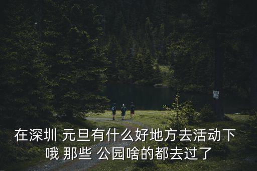 深圳元旦活動(dòng)，深圳元旦有什么節(jié)目