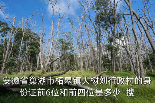 安徽省巢湖市柘皋鎮(zhèn)大樹劉行政村的身份證前6位和前四位是多少  搜