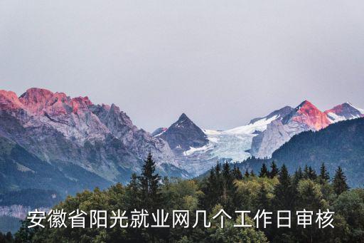 安徽省陽光就業網幾個工作日審核