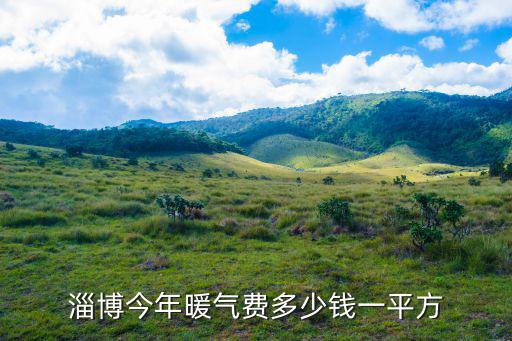 暖氣費(fèi)多少錢一平方，沈陽 采暖費(fèi) 多少錢一平米