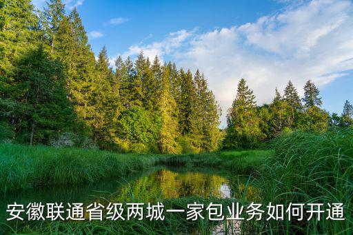 安徽聯通省級兩城一家包業務如何開通