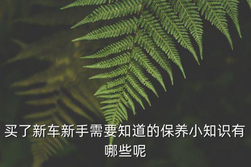 買了新車新手需要知道的保養(yǎng)小知識(shí)有哪些呢