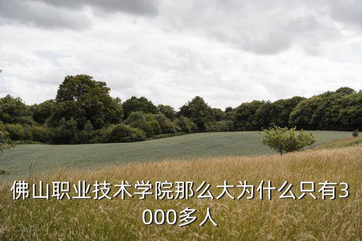 佛山職業(yè)技術(shù)學(xué)院那么大為什么只有3000多人