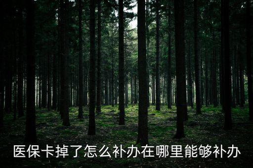 醫保卡在哪里補辦，醫保卡丟失請問我去當地的什么地方能補辦
