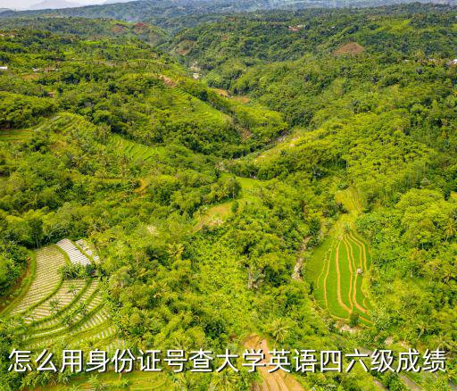 怎么用身份證號查大學英語四六級成績