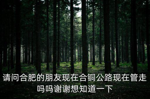 請問合肥的朋友現(xiàn)在合銅公路現(xiàn)在管走嗎嗎謝謝想知道一下