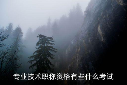 專業技術資格考試，衛生專業技術資格考試是干什么用的哪些人要考