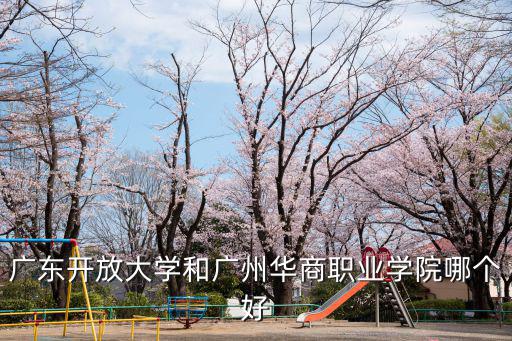 廣東開放大學和廣州華商職業學院哪個好