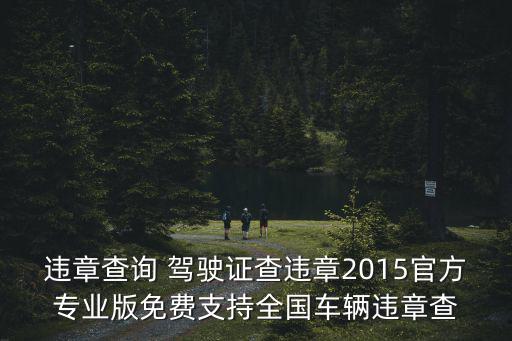 違章查詢 駕駛證查違章2015官方專業版免費支持全國車輛違章查