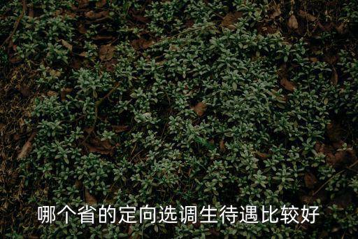 河北省定向選調(diào)，哪個省的定向選調(diào)生待遇比較好