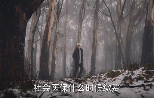 社會醫保什么時候繳費