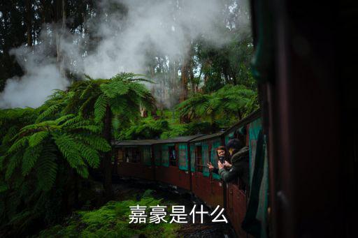 嘉豪是什么