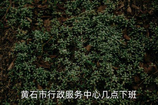 黃石市行政服務(wù)中心幾點(diǎn)下班