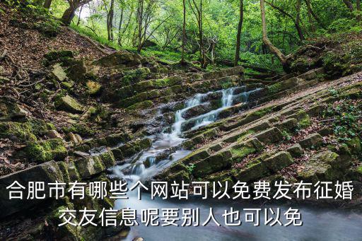 合肥市有哪些個網站可以免費發布征婚交友信息呢要別人也可以免