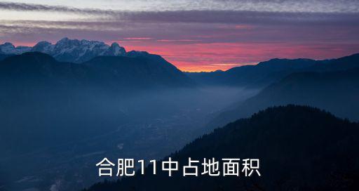 合肥11中占地面積