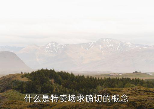 什么是特賣(mài)場(chǎng)求確切的概念