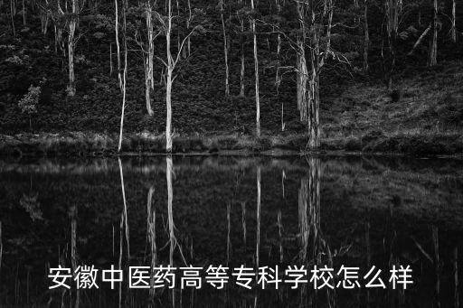 安徽中醫藥高等專科學校怎么樣
