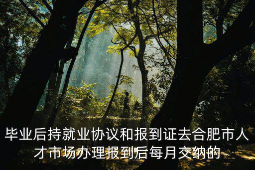 畢業(yè)后持就業(yè)協(xié)議和報(bào)到證去合肥市人才市場(chǎng)辦理報(bào)到后每月交納的