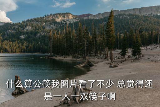 什么算公筷我圖片看了不少 總覺(jué)得還是一人一雙筷子啊