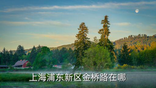 上海浦東新區金橋路在哪