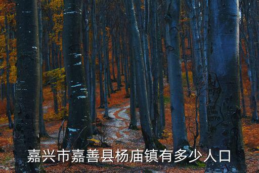嘉興市嘉善縣楊廟鎮有多少人口
