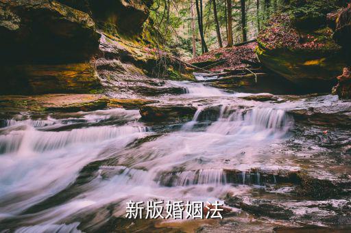 婚姻法，婚姻法是什么意思啊