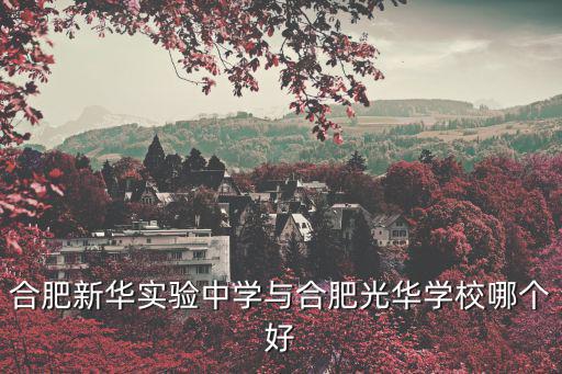 合肥新華實驗中學與合肥光華學校哪個好