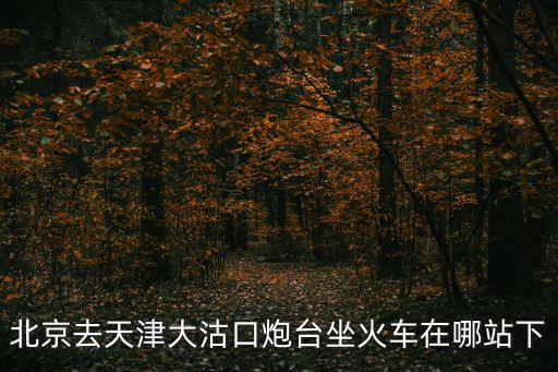 北京去天津大沽口炮臺坐火車在哪站下