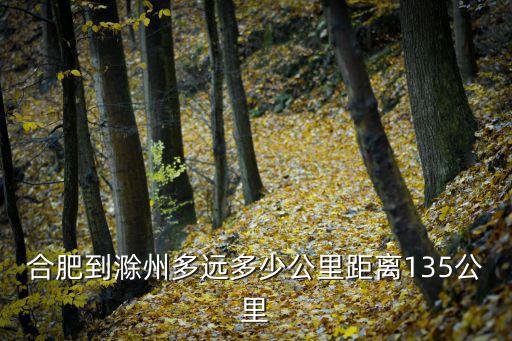 合肥到滁州多遠多少公里距離135公里