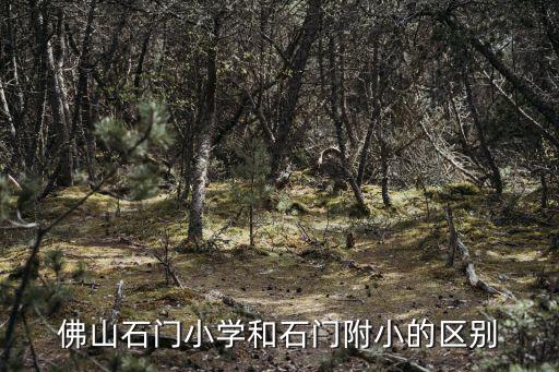 石門小學，石門小學插班是看成績嗎