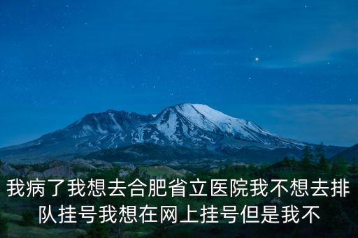 我病了我想去合肥省立醫(yī)院我不想去排隊掛號我想在網上掛號但是我不