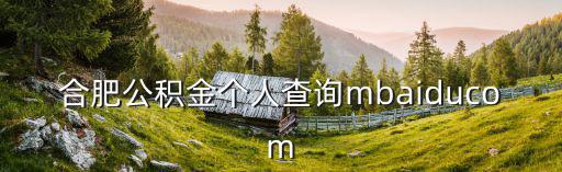 合肥公積金個(gè)人查詢mbaiducom