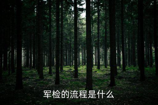 軍檢的流程是什么