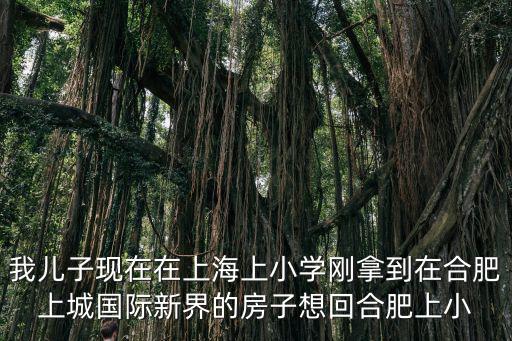 上城國際新界，廬陽區大潤發后面小區叫什么名字
