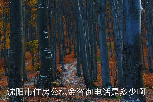 沈陽(yáng)市住房公積金咨詢電話是多少啊
