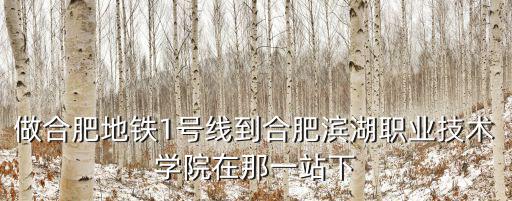 做合肥地鐵1號線到合肥濱湖職業技術學院在那一站下