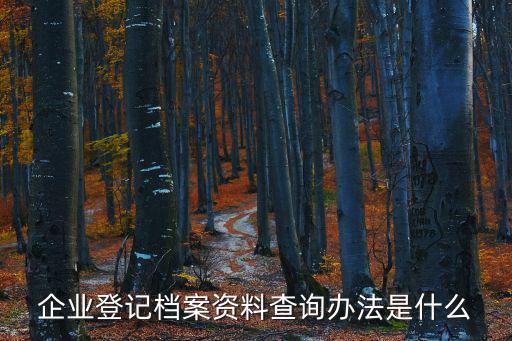 企業登記檔案資料查詢辦法是什么